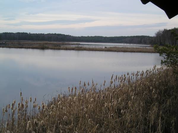 region144.jpg