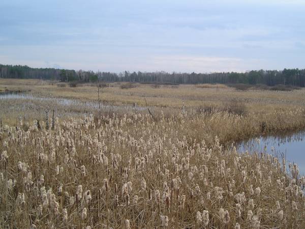 region145.jpg