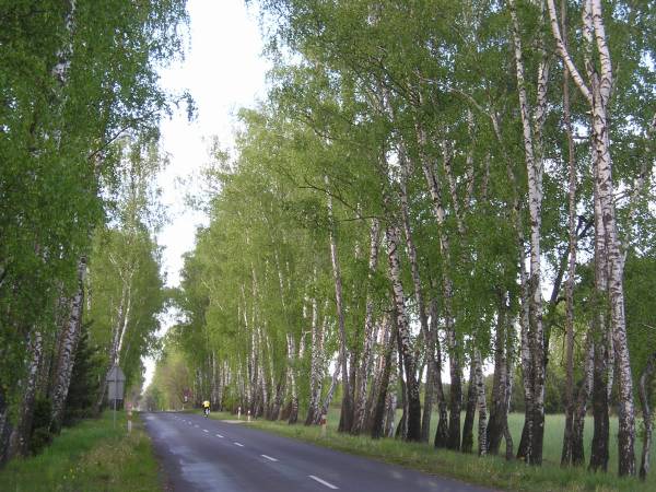 region151.jpg