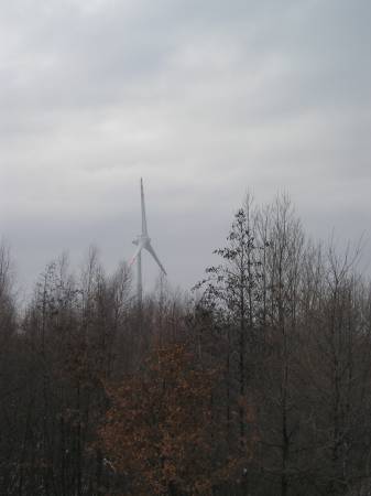 region155.jpg