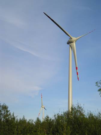 region159.jpg