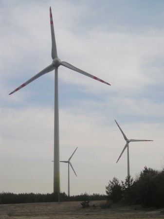 region173.jpg