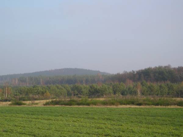 region6.jpg