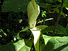 r20.jpg