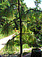 r23.jpg