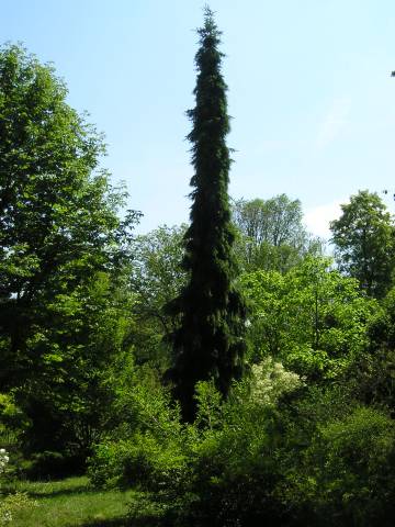 r16.jpg
