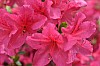 DSC_1189.jpg