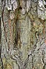 DSC_1192.jpg