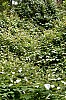 DSC_1198.jpg