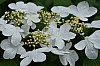 DSC_1202.jpg