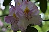 DSC_1204.jpg