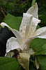 DSC_1210.jpg