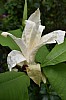DSC_1211.jpg