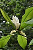 DSC_1212.jpg