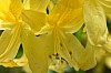 DSC_1215.jpg