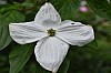 DSC_1218.jpg