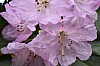 DSC_1219.jpg