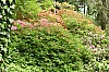 DSC_1243.jpg