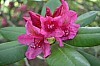 DSC_1273.jpg