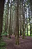 DSC_1276.jpg