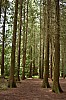 DSC_1277.jpg