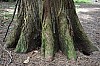 DSC_1281.jpg