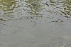 DSC_1289.jpg