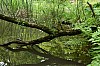 DSC_1291.jpg