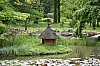 DSC_1296.jpg