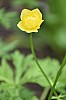 DSC_1310.jpg