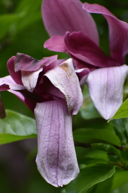 DSC_0001.jpg