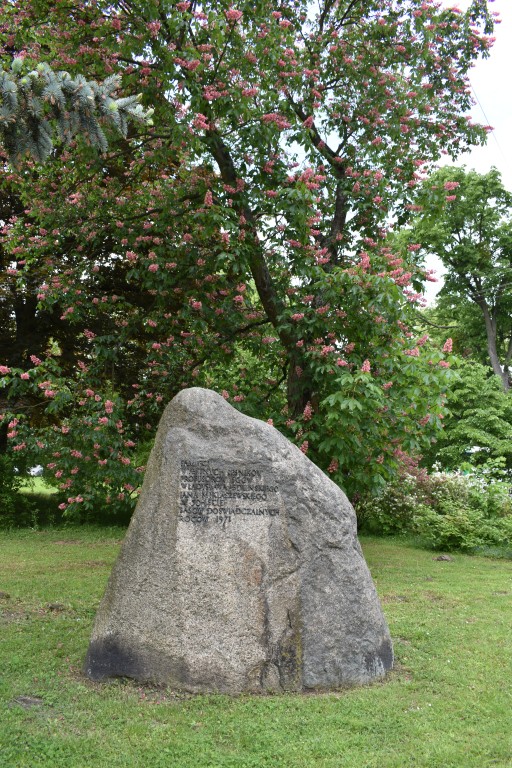 DSC_0008.jpg