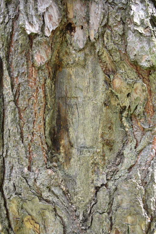 DSC_1192.jpg