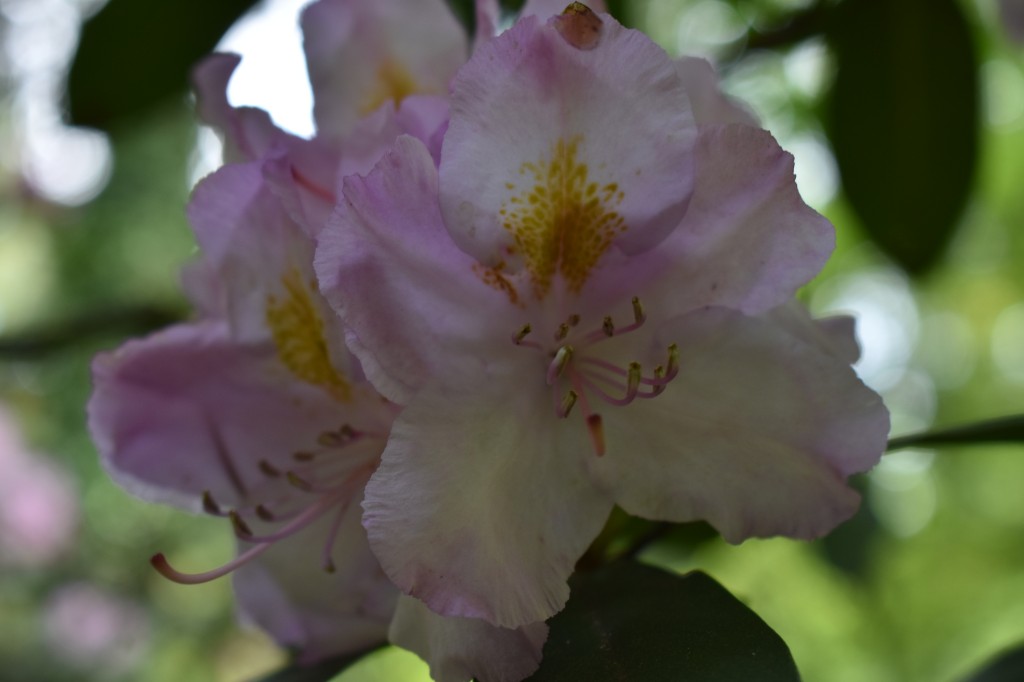 DSC_1204.jpg