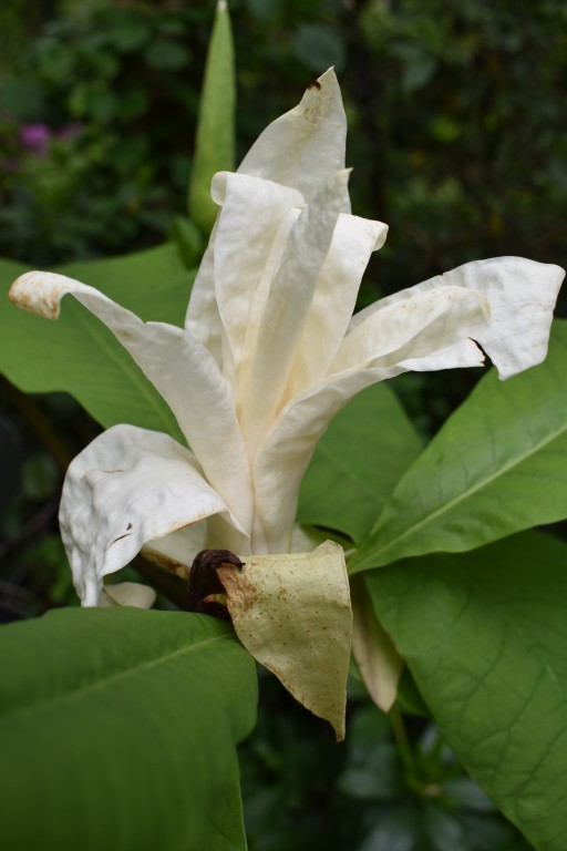 DSC_1211.jpg