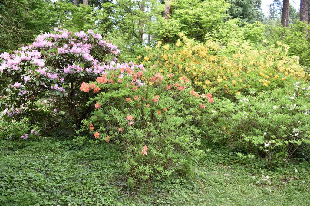 DSC_1217.jpg