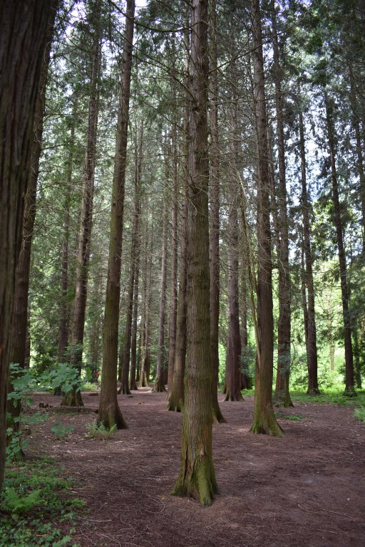 DSC_1276.jpg