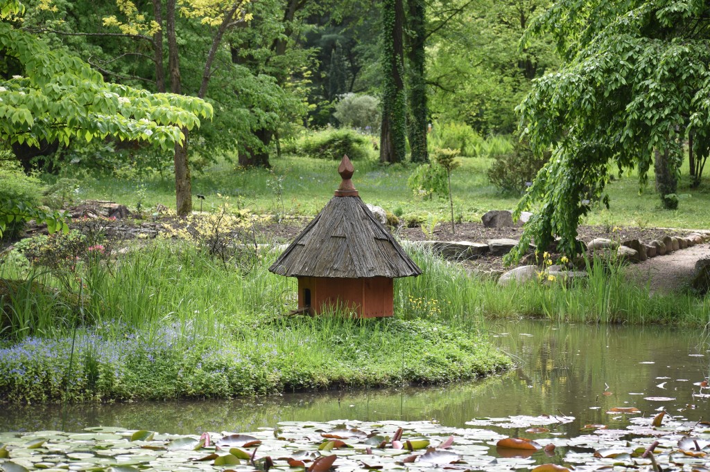 DSC_1296.jpg