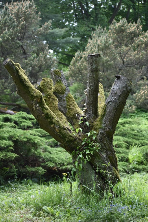 DSC_1326.jpg