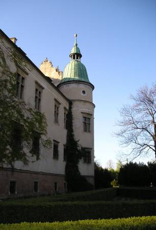 bs10.jpg
