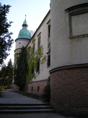 bs7.jpg