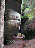 SG10.jpg