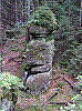 SG3.jpg