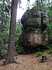 SG30.jpg