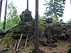SG38.jpg