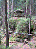 SG4.jpg
