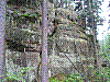SG42.jpg
