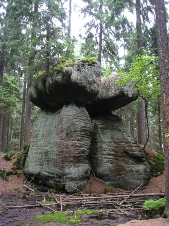 SG7.jpg