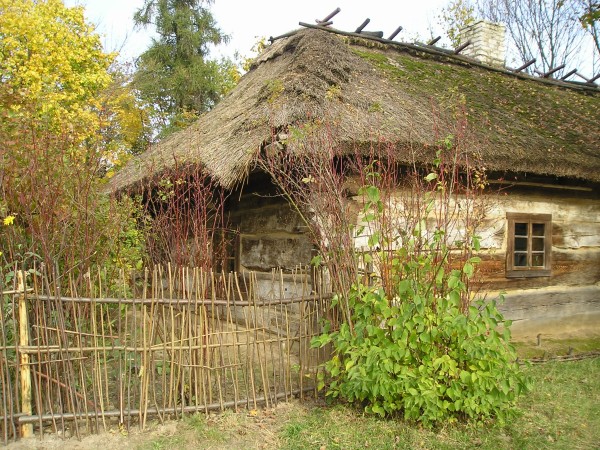 skansenWL16.jpg
