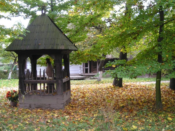skansenWL28.jpg